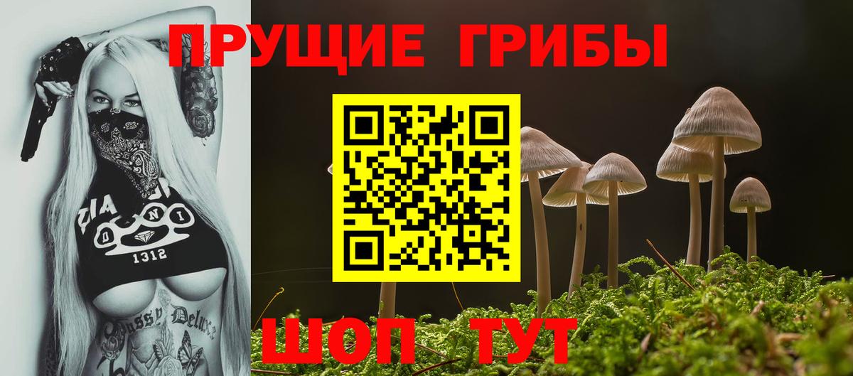 Кандалакша  Псилоцибиновые грибы прущие грибы  Вход с VPN  Псилоцибиновые грибы Magic Shrooms 